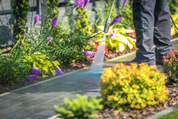 Best Boat and Dock Cleaning  in Kingsley, IA